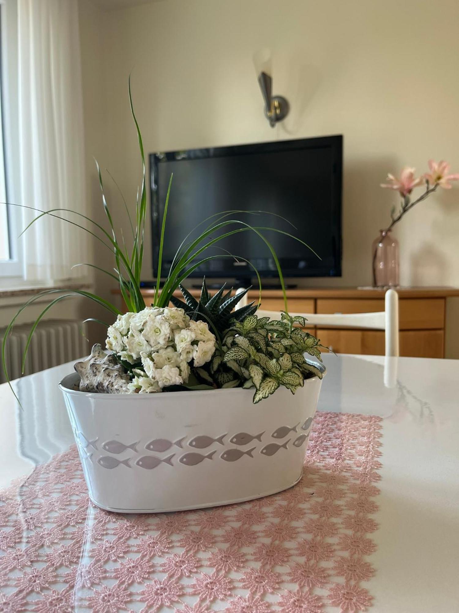 Schoene Wohnung, Bodenseenaehe Равенсбург Екстериор снимка